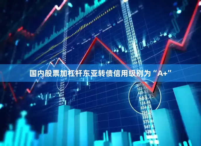 国内股票加杠杆东亚转债信用级别为“A+”