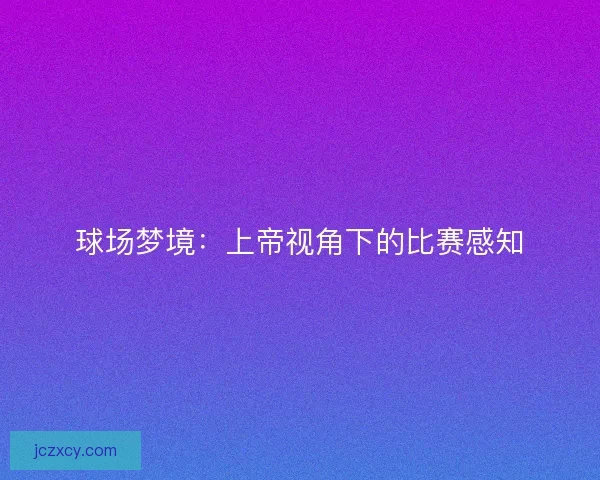 球场梦境：上帝视角下的比赛感知